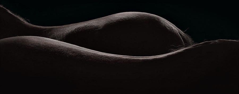 La gracia hermosos caballos en el proyecto Equus