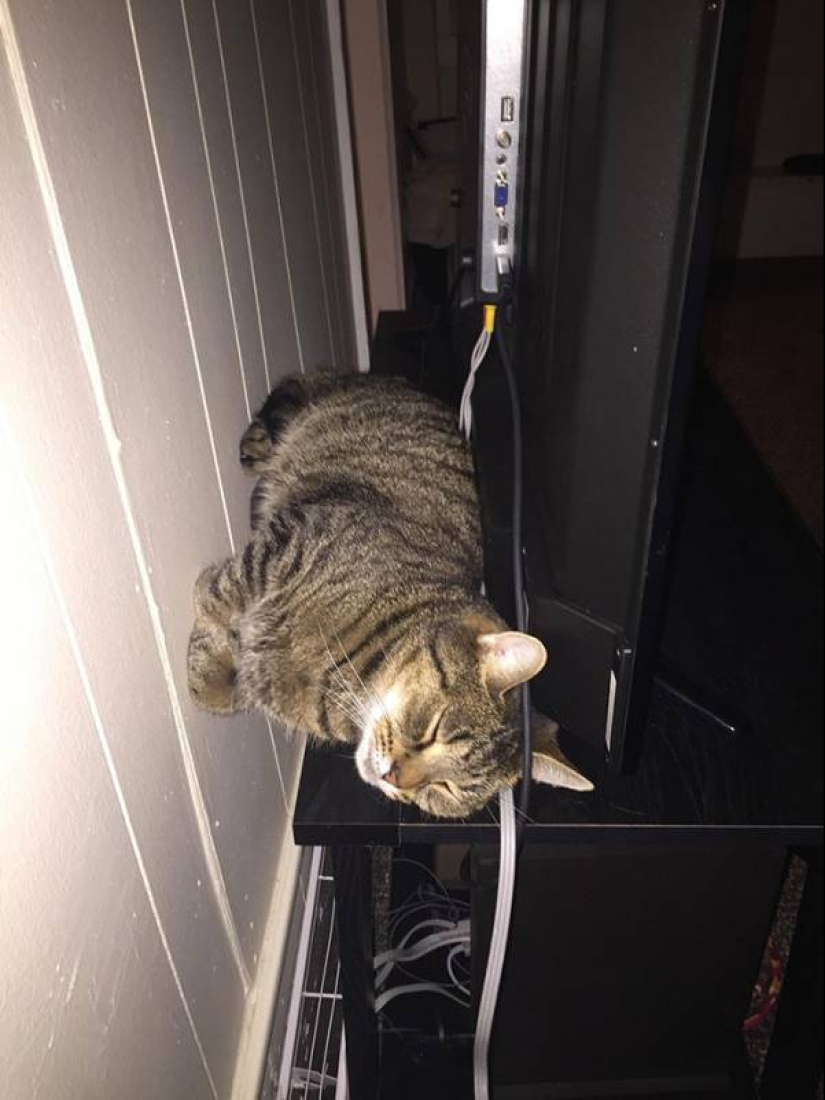 "La gravedad es roto o ¿por qué no se cae?": 20 fotos que desafían las leyes de la física "La gravedad es roto o ¿por qué no se cae?": 20 fotos que desafían las leyes de la física