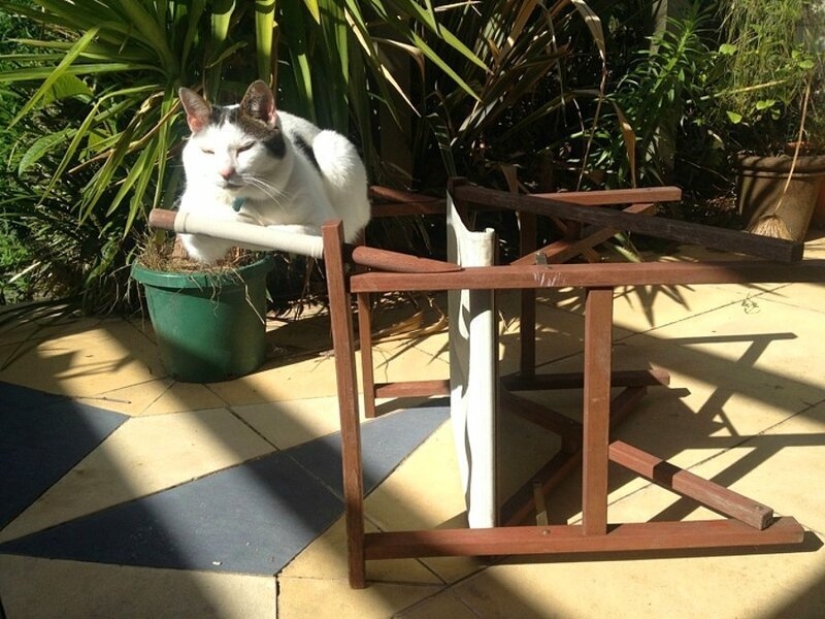 "La gravedad es roto o ¿por qué no se cae?": 20 fotos que desafían las leyes de la física "La gravedad es roto o ¿por qué no se cae?": 20 fotos que desafían las leyes de la física