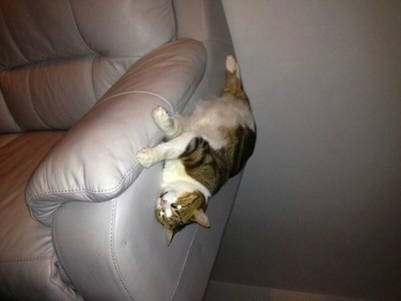 "La gravedad es roto o ¿por qué no se cae?": 20 fotos que desafían las leyes de la física "La gravedad es roto o ¿por qué no se cae?": 20 fotos que desafían las leyes de la física