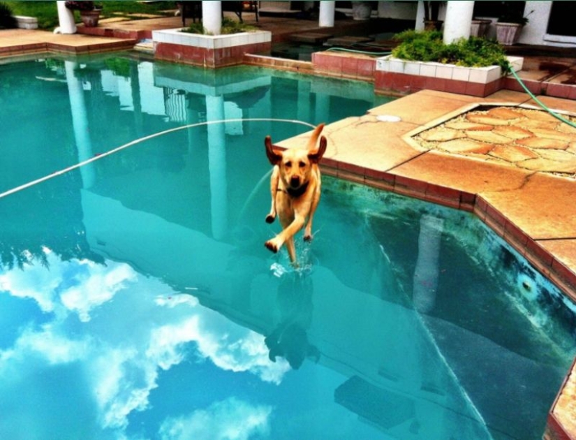 "La gravedad es roto o ¿por qué no se cae?": 20 fotos que desafían las leyes de la física "La gravedad es roto o ¿por qué no se cae?": 20 fotos que desafían las leyes de la física