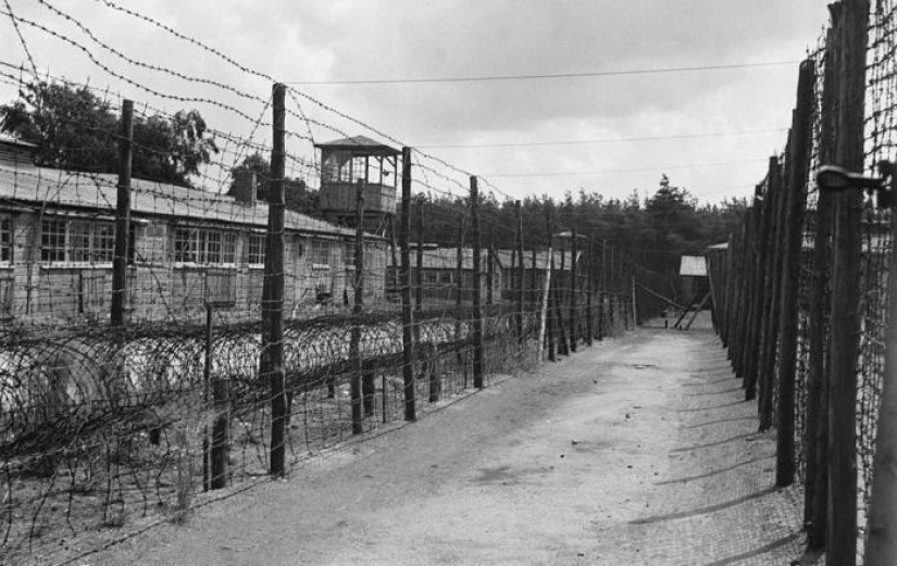 La hazaña de uzbekistan soldados en cautiverio alemán, del que nadie sabía La hazaña de uzbekistan soldados en cautiverio alemán, del que nadie sabía