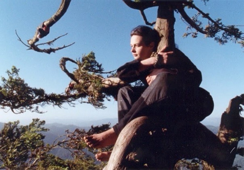 La historia de Julia "Butterfly", una niña que vivió en un árbol durante 2 años La historia de Julia "Butterfly", una niña que vivió en un árbol durante 2 años