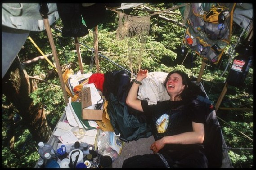 La historia de Julia "Butterfly", una niña que vivió en un árbol durante 2 años La historia de Julia "Butterfly", una niña que vivió en un árbol durante 2 años