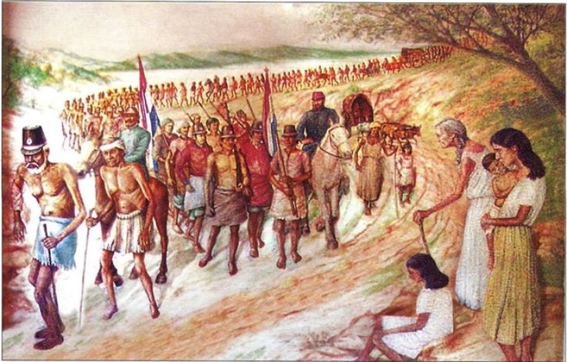 La historia de la Gran Guerra Paraguaya: sin sentido y sin piedad