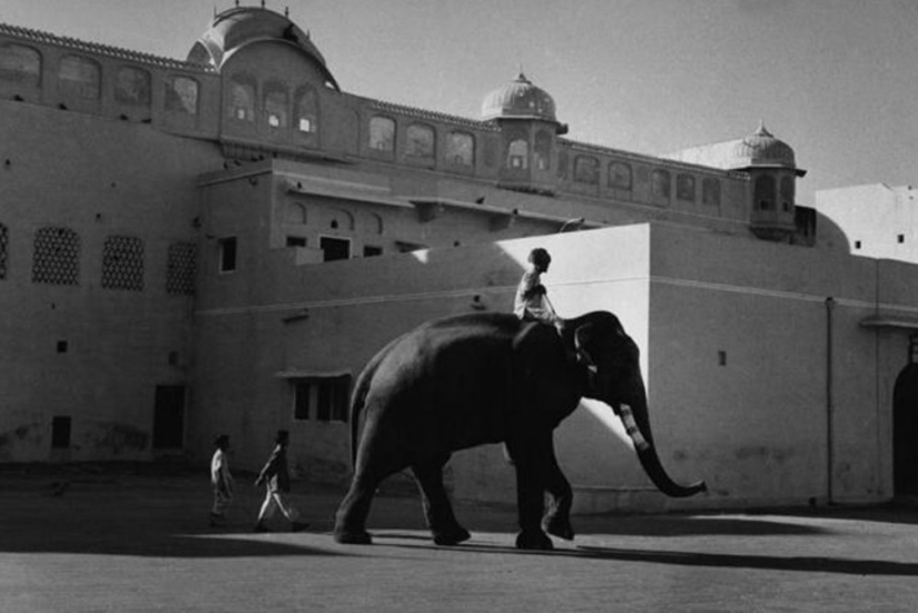 La historia de los libros de texto de Marc Ribot La historia de los libros de texto de Marc Ribot