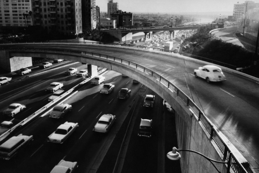 La historia de los libros de texto de Marc Ribot La historia de los libros de texto de Marc Ribot