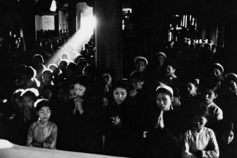 La historia de los libros de texto de Marc Ribot La historia de los libros de texto de Marc Ribot