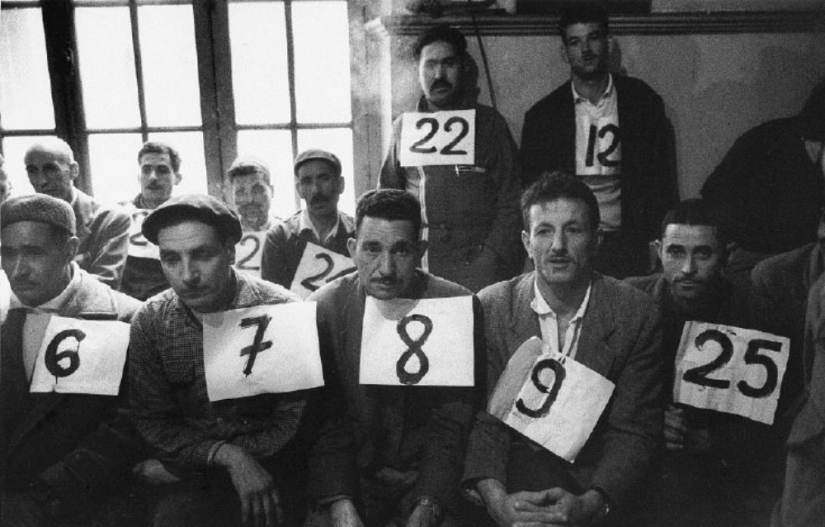 La historia de los libros de texto de Marc Ribot La historia de los libros de texto de Marc Ribot