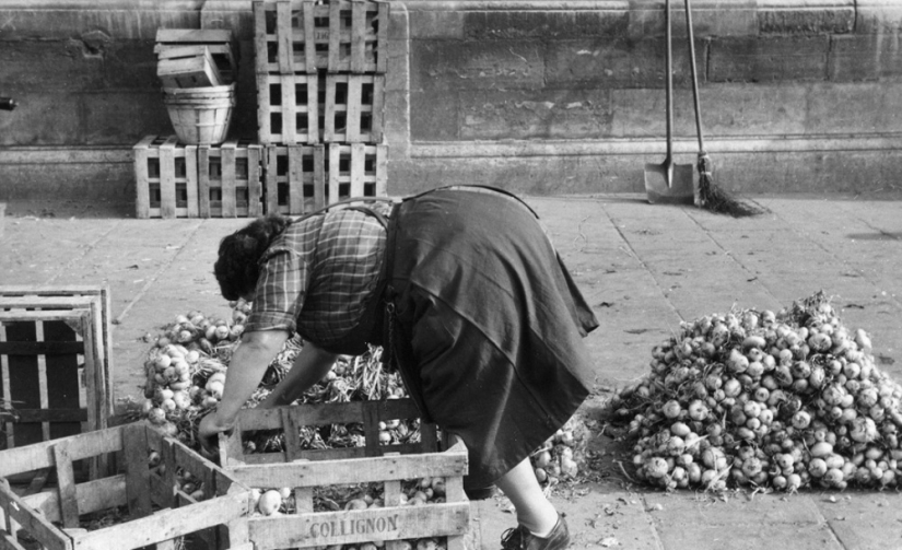 La historia de los libros de texto de Marc Ribot La historia de los libros de texto de Marc Ribot