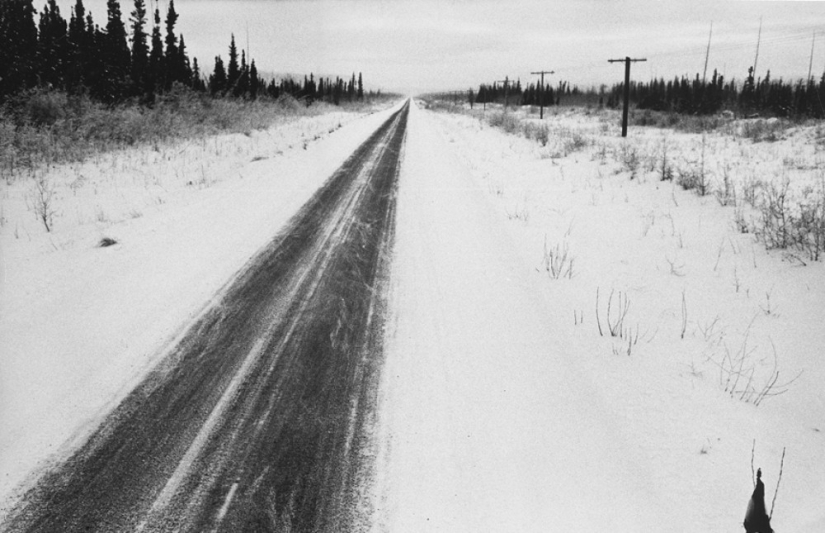 La historia de los libros de texto de Marc Ribot La historia de los libros de texto de Marc Ribot