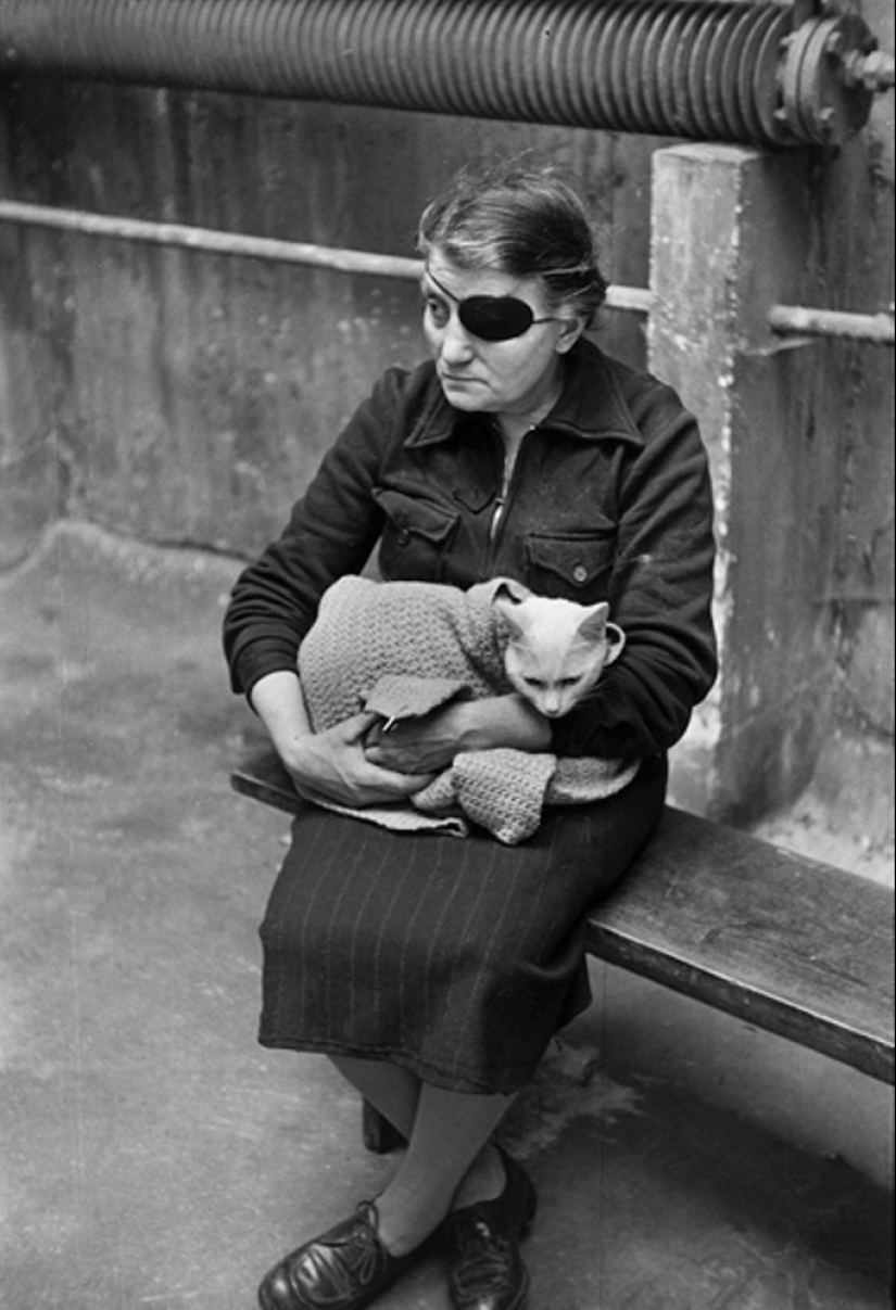 La historia de los libros de texto de Marc Ribot La historia de los libros de texto de Marc Ribot