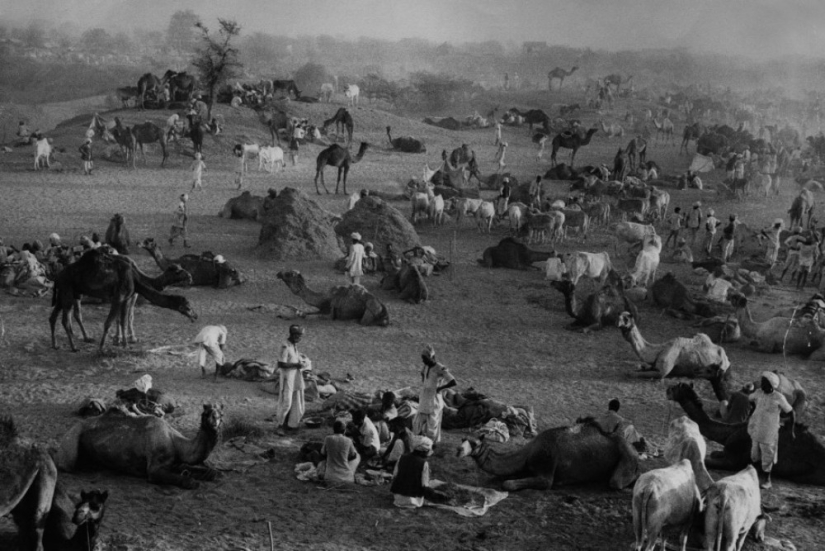 La historia de los libros de texto de Marc Ribot La historia de los libros de texto de Marc Ribot