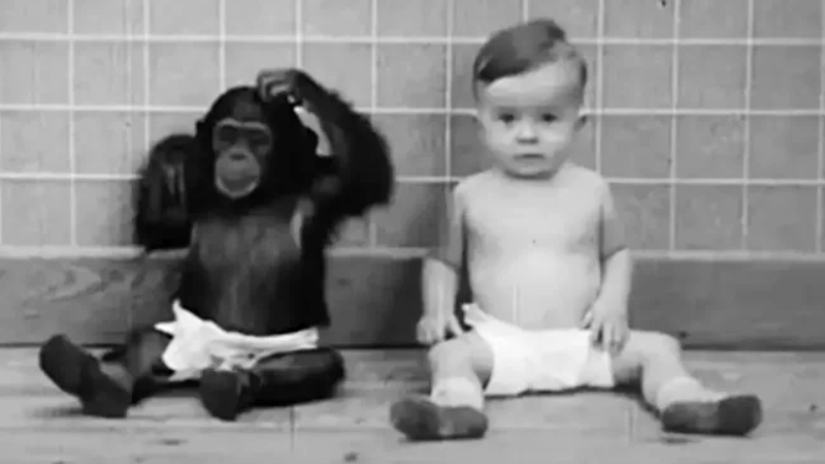 La historia de un niño llamado Donald y un chimpancé llamado Gua, quienes fueron sometidos a un experimento &quot;perturbador&quot;