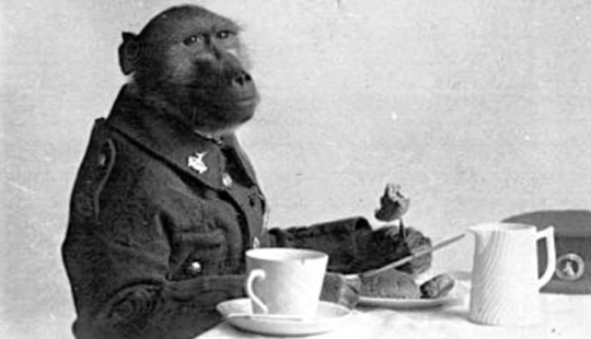 La historia del Cabo Jackie, el héroe más inusual de la Primera Guerra Mundial