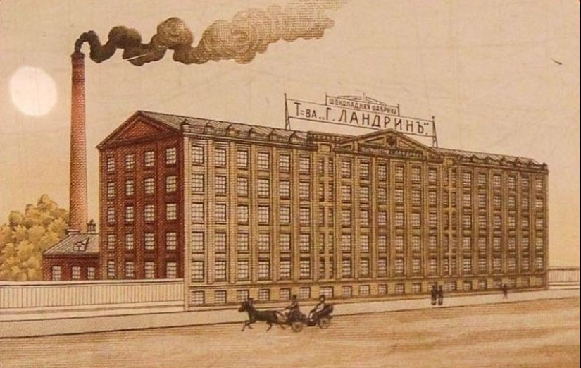 La historia del gallo en un palo y sus "parientes" que son mayores de lo que crees La historia del gallo en un palo y sus "parientes" que son mayores de lo que crees