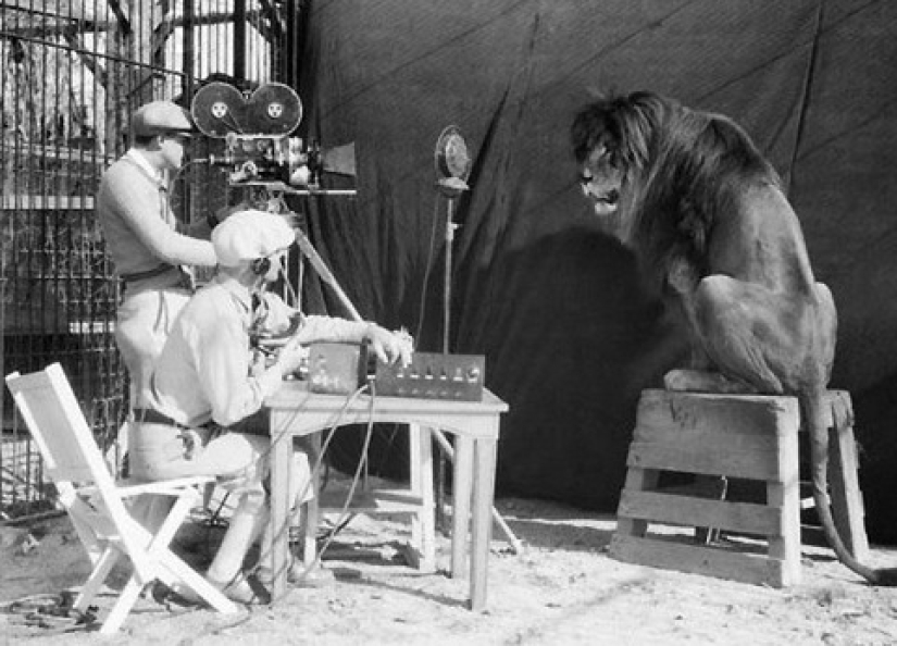 La joven Greta Garbo y el león: cómo apareció la legendaria foto