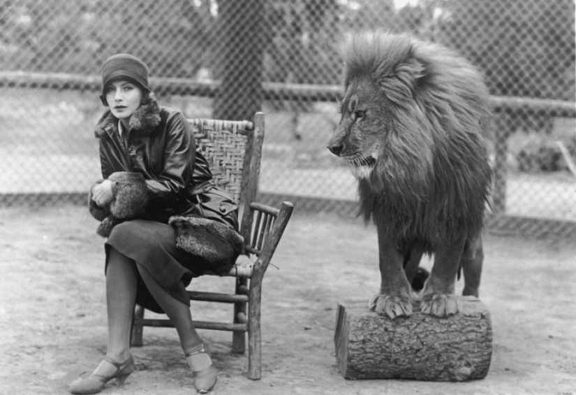 La joven Greta Garbo y el león: cómo apareció la legendaria foto