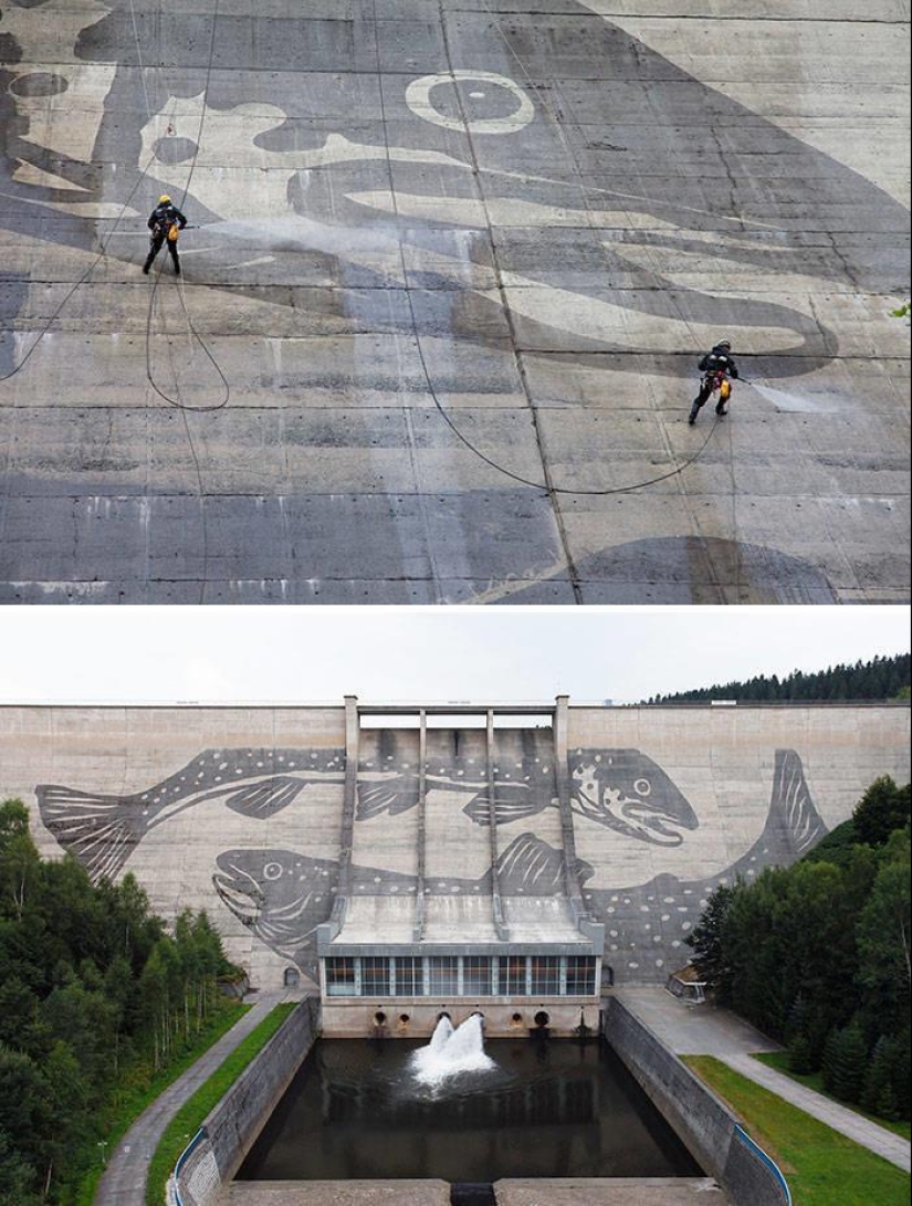 La magia de la pureza: 30 cosas antes y después de la lavadora a presión La magia de la pureza: 30 cosas antes y después de la lavadora a presión