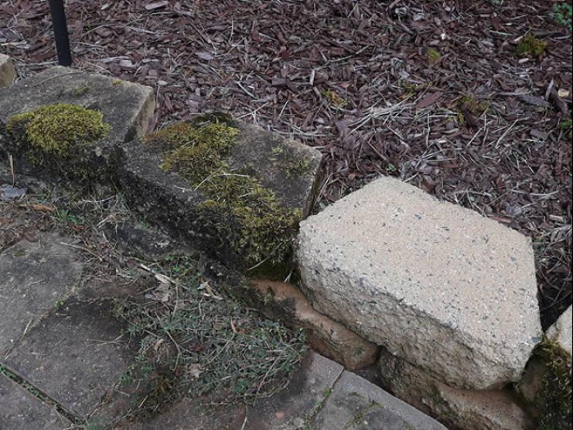 La magia de la pureza: 30 cosas antes y después de la lavadora a presión La magia de la pureza: 30 cosas antes y después de la lavadora a presión