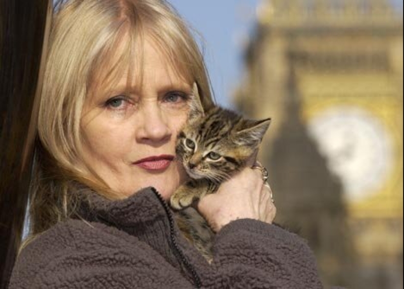 La modelo Celia Hammond y sus gatos