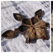 La moña servilleta y 22 más cosas cuyo significado se explica que la mente colectiva