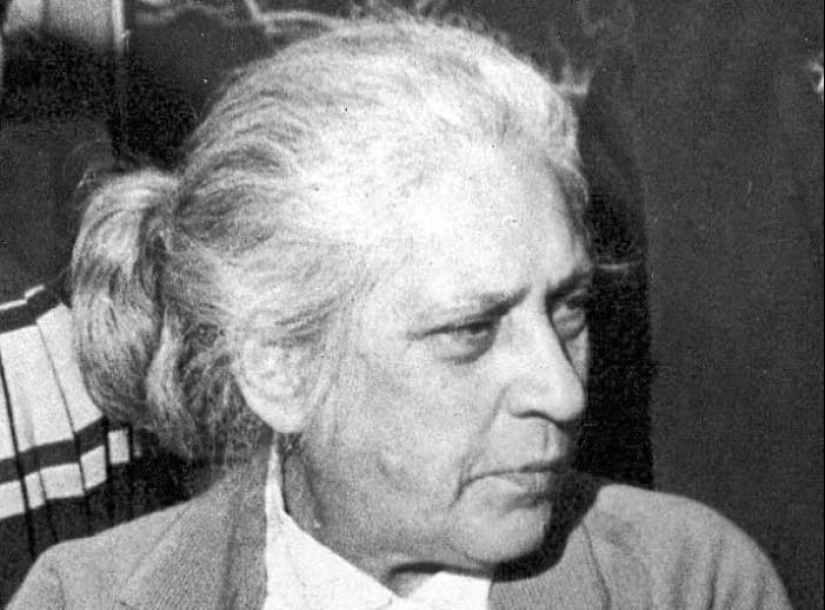 La mujer despiadada-verdugo: por qué todo el mundo tenía miedo de la esposa del comandante Shchors como el fuego La mujer despiadada-verdugo: por qué todo el mundo tenía miedo de la esposa del comandante Shchors como el fuego