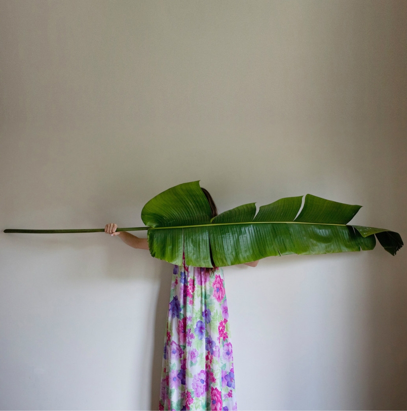 La salvación depressula: cómo el fotógrafo Estadounidense ayudado a usted mismo La salvación depressula: cómo el fotógrafo Estadounidense ayudado a usted mismo