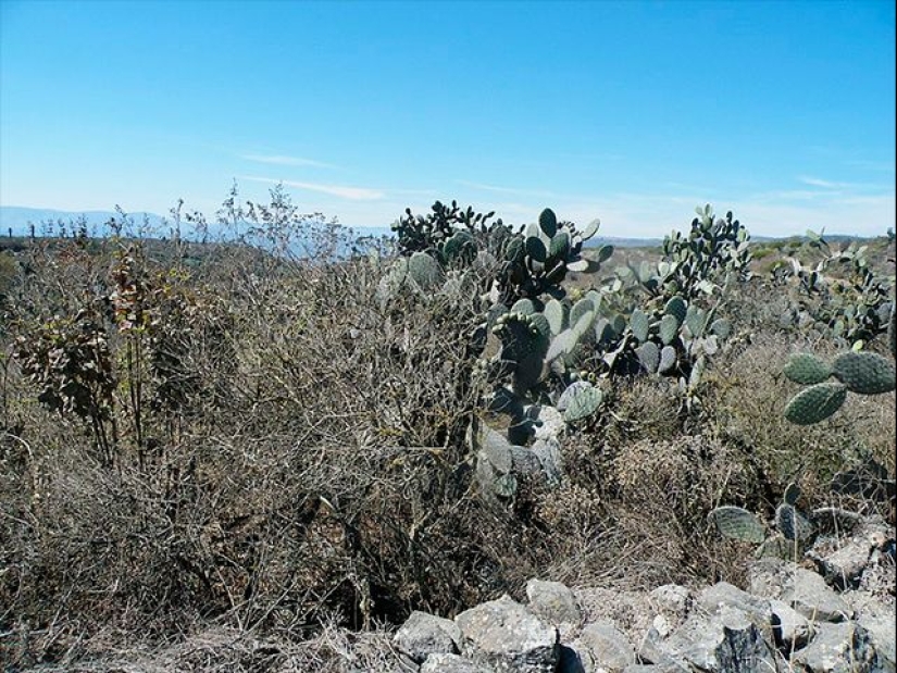 La sangrienta historia de Magdalena Solís-prostituta, vampiro y "diosa de los aztecas" La sangrienta historia de Magdalena Solís-prostituta, vampiro y "diosa de los aztecas"