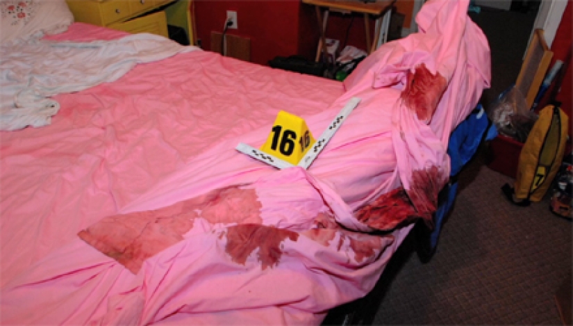 La terrible historia de Gypsy Blanchard, que planeó la muerte de su madre para su propia felicidad La terrible historia de Gypsy Blanchard, que planeó la muerte de su madre para su propia felicidad