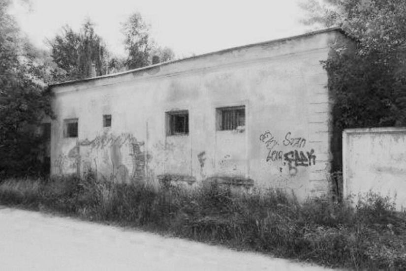 La tragedia de Onion Lake: la muerte secreta de 26 niños soviéticos en 1960 La tragedia de Onion Lake: la muerte secreta de 26 niños soviéticos en 1960