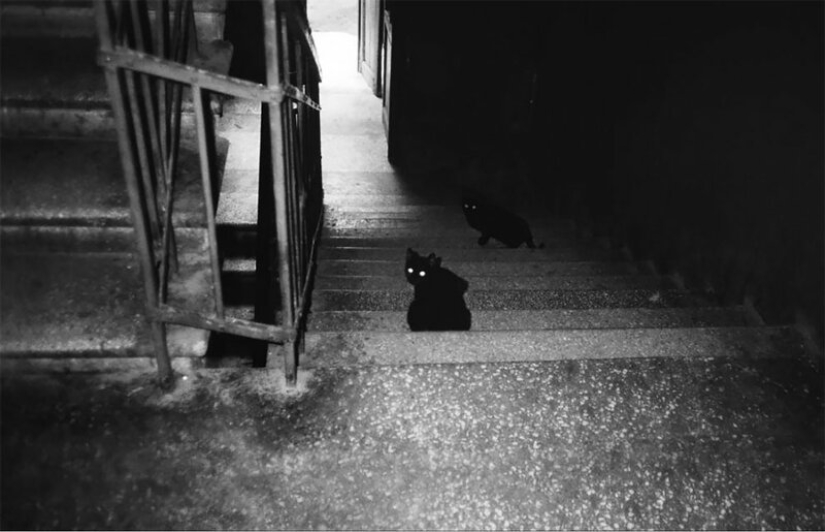 La unión Soviética "deshielo" de la década de 1960 a través de la lente de Vladimir Lagrange