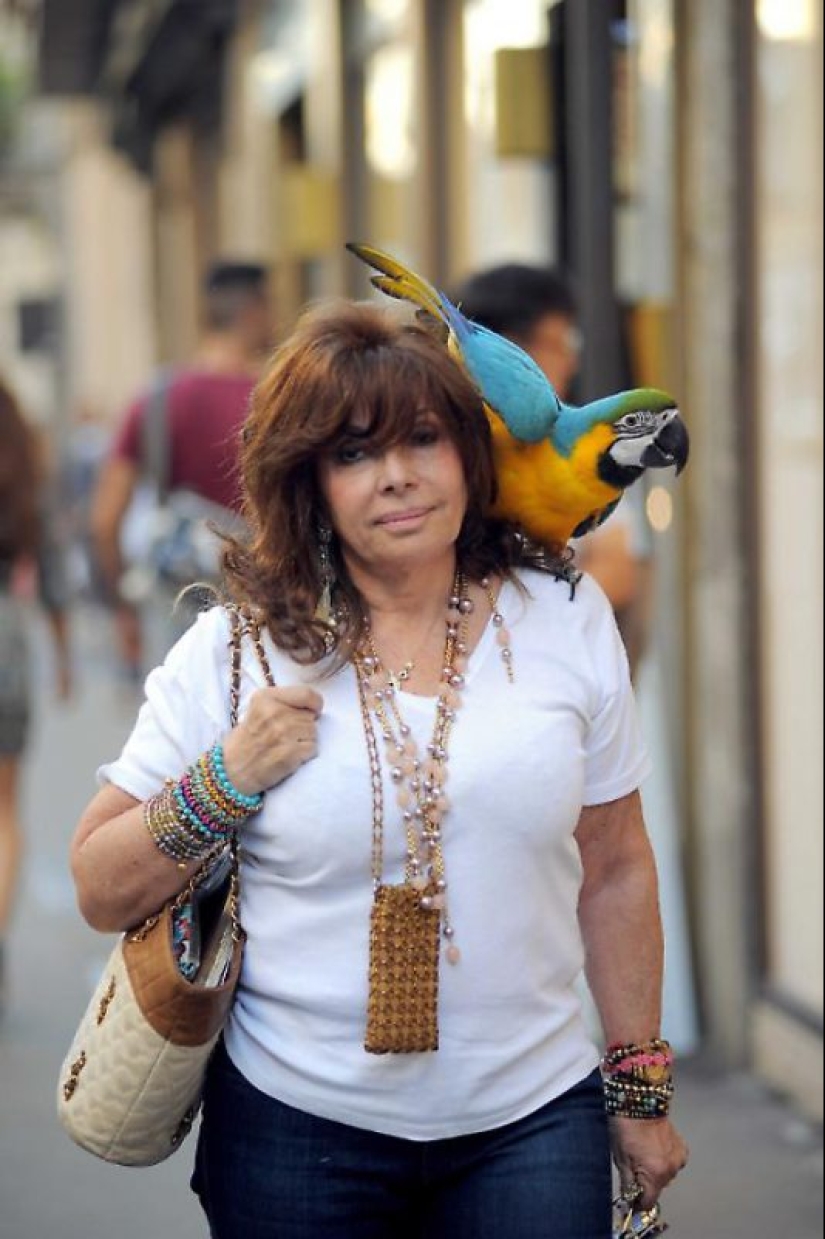 La venganza de la "Viuda Negra": Cómo el amor y el dinero arruinaron al heredero del imperio Gucci La venganza de la "Viuda Negra": Cómo el amor y el dinero arruinaron al heredero del imperio Gucci