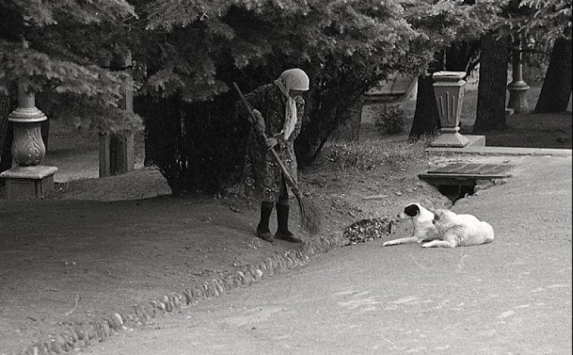 La vida cotidiana en la Georgia soviética en 1976, capturada por un fotógrafo sueco La vida cotidiana en la Georgia soviética en 1976, capturada por un fotógrafo sueco