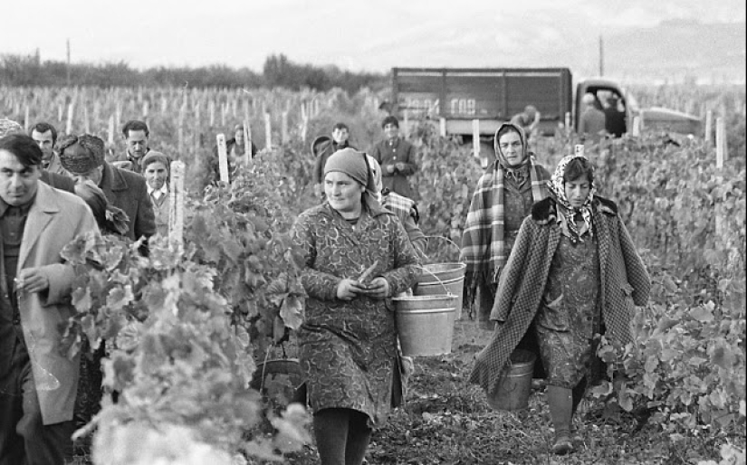 La vida cotidiana en la Georgia soviética en 1976, capturada por un fotógrafo sueco La vida cotidiana en la Georgia soviética en 1976, capturada por un fotógrafo sueco