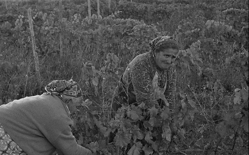 La vida cotidiana en la Georgia soviética en 1976, capturada por un fotógrafo sueco La vida cotidiana en la Georgia soviética en 1976, capturada por un fotógrafo sueco