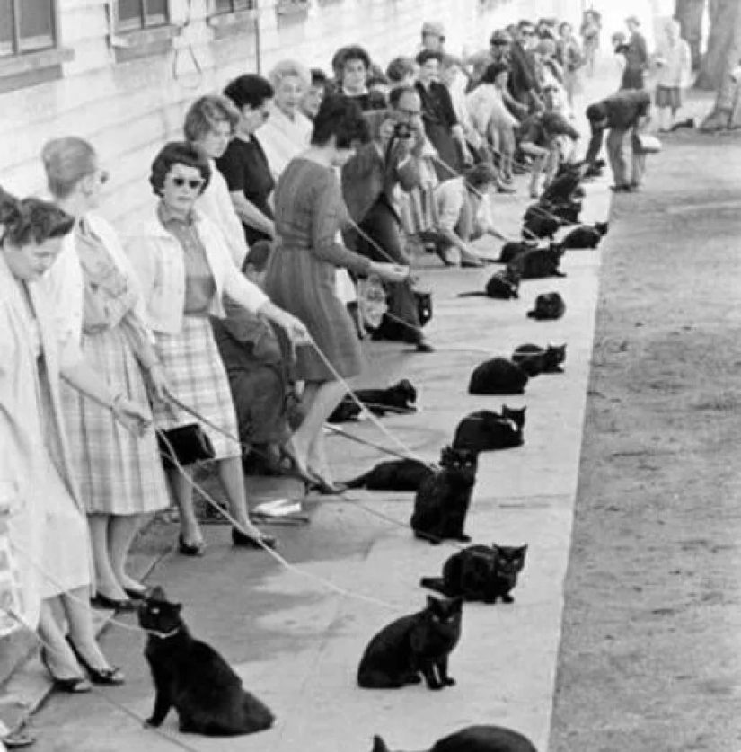 "La vida en los momentos": fotos raras de eventos, estrellas y gente común