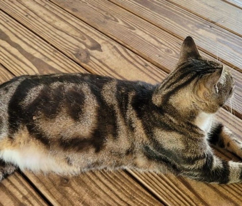 La vida está llena de sorpresas! 22 hallazgos inesperados que causaron muchas emociones La vida está llena de sorpresas! 22 hallazgos inesperados que causaron muchas emociones