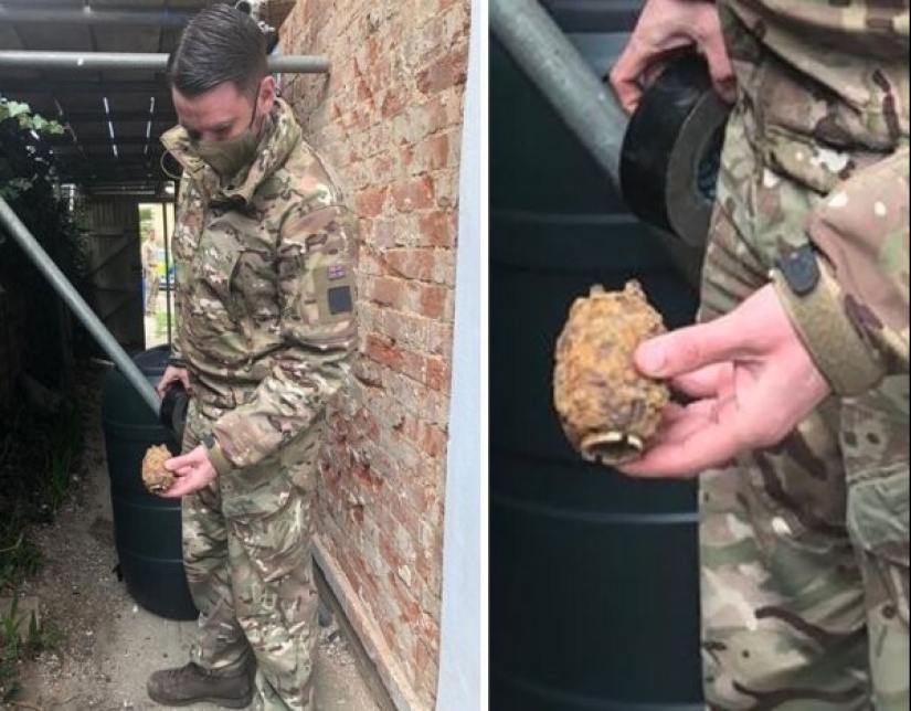 La vida está llena de sorpresas! 22 hallazgos inesperados que causaron muchas emociones La vida está llena de sorpresas! 22 hallazgos inesperados que causaron muchas emociones