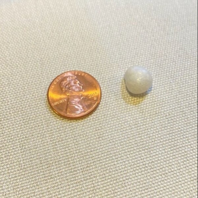 La vida está llena de sorpresas! 22 hallazgos inesperados que causaron muchas emociones La vida está llena de sorpresas! 22 hallazgos inesperados que causaron muchas emociones