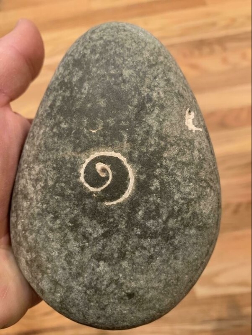 La vida está llena de sorpresas! 22 hallazgos inesperados que causaron muchas emociones La vida está llena de sorpresas! 22 hallazgos inesperados que causaron muchas emociones