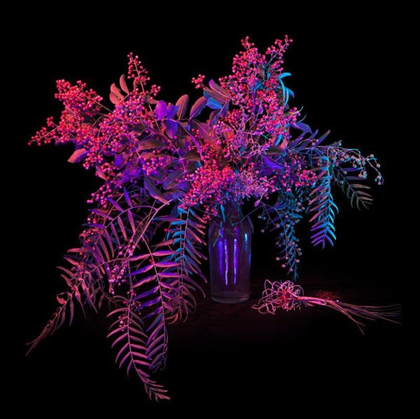 las 10 colecciones de magia más útiles de Salem las 10 colecciones de magia más útiles de Salem