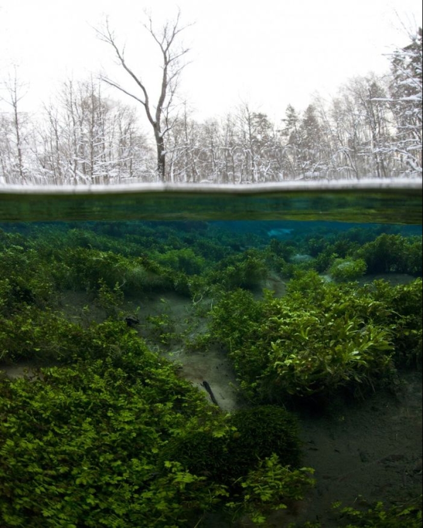 Las 100 mejores fotos sin photoshop