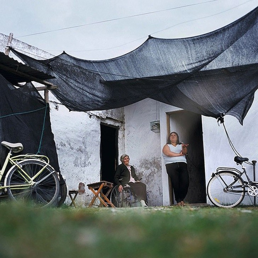 Las aventuras de Guillie y Belinda