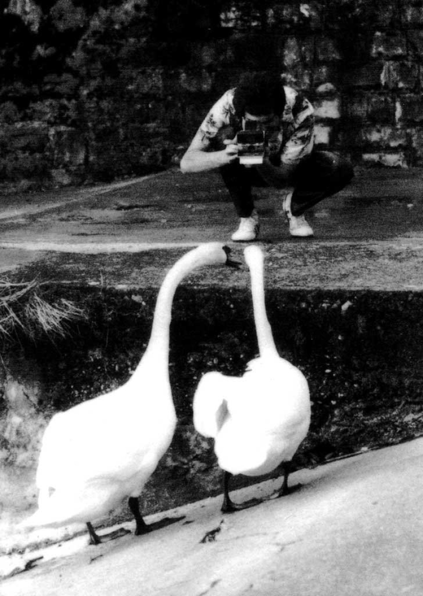 Las fotos con las celebridades que usted no ha visto Las fotos con las celebridades que usted no ha visto