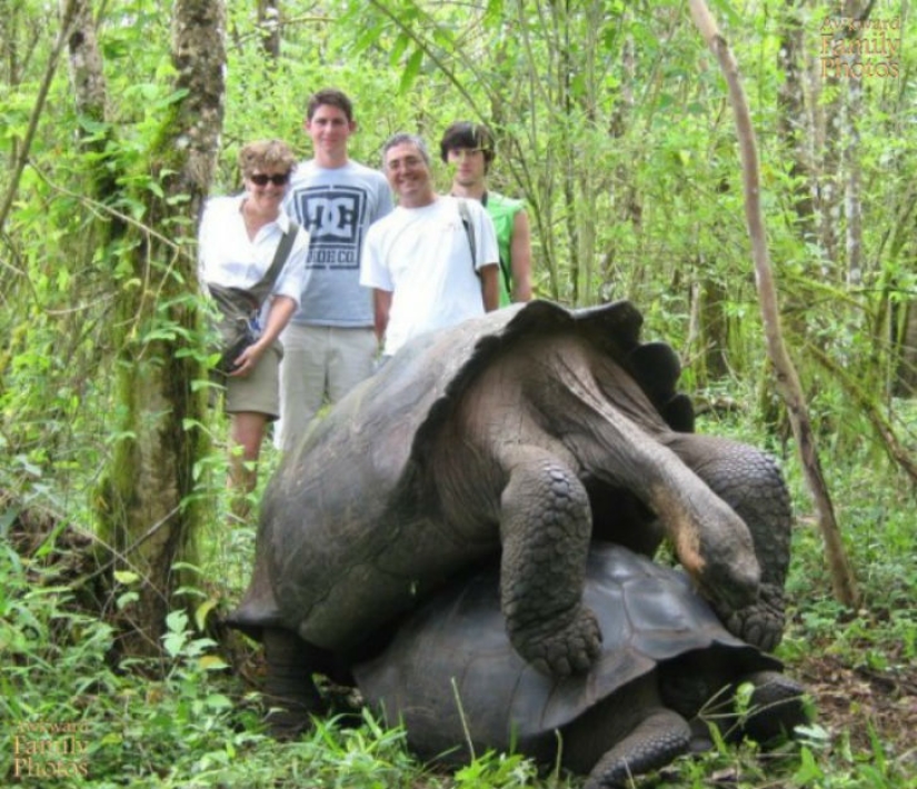 Las Fotos de Vacaciones más Ridículas que Simplemente No Deberían Existir