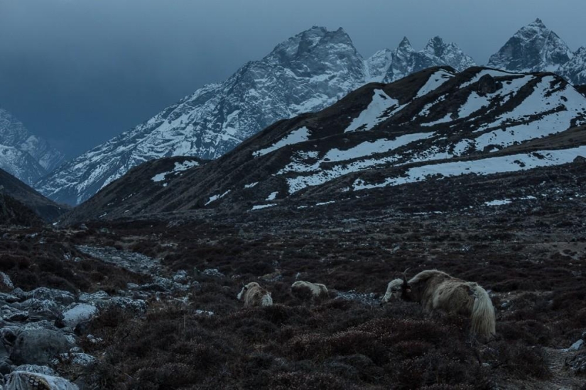 Las montañas son mejores que las montañas.