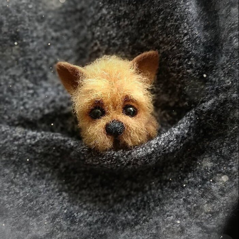 Las patas de los zorros y otros adorables animalitos amantes Anna Romanova