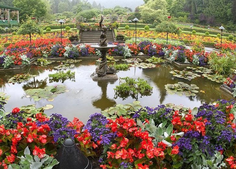 Las plantaciones y parques de flores más bellos del mundo Las plantaciones y parques de flores más bellos del mundo