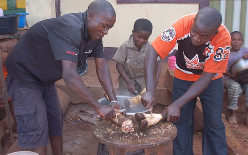 Las sopas más extrañas del mundo Las sopas más extrañas del mundo